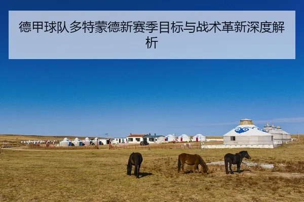 德甲球队多特蒙德新赛季目标与战术革新深度解析